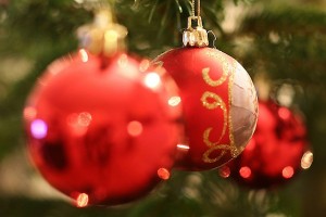 SpanglishBaby Celebrated La Navidad