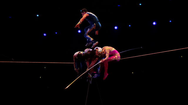 ringling bros wire