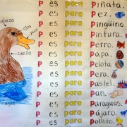 peek into a dual language immeresion classroom